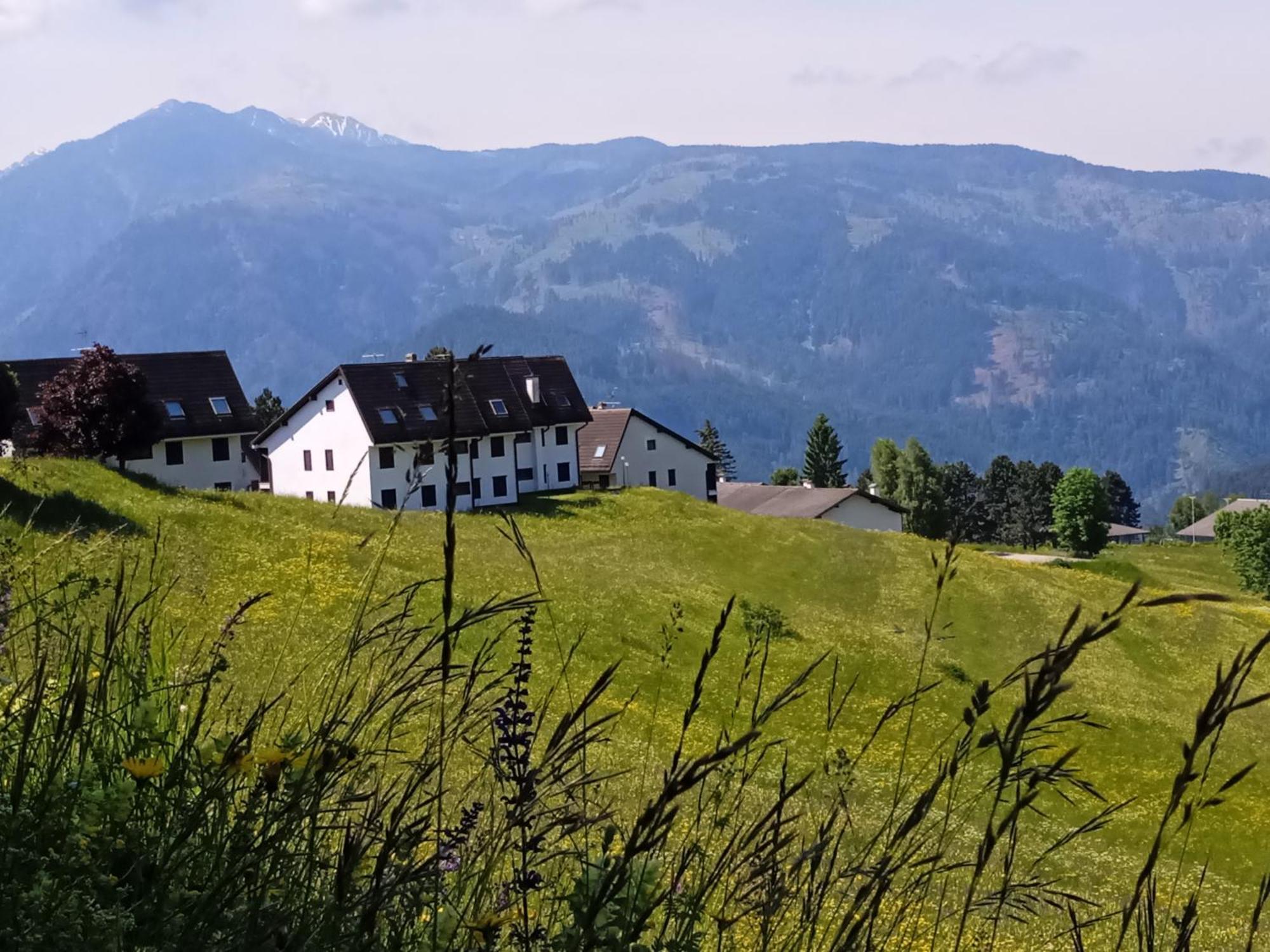 Appartamento Tiziana Val Di Fiemme Carano  Luaran gambar