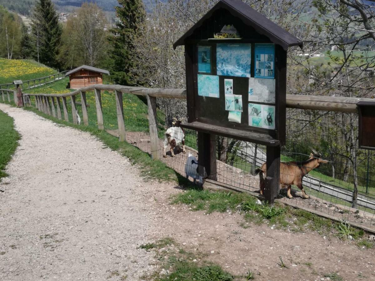 Appartamento Tiziana Val Di Fiemme Carano  Luaran gambar