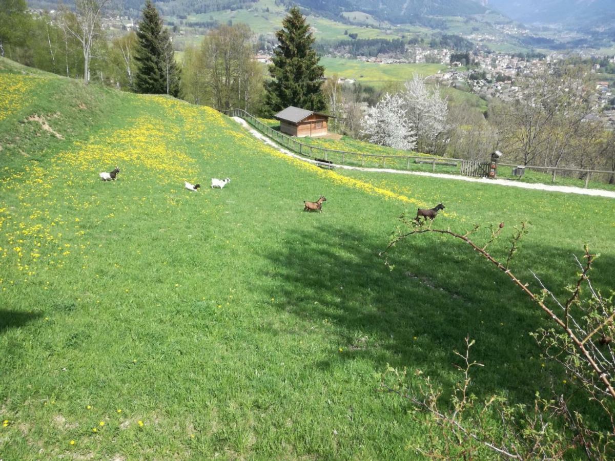 Appartamento Tiziana Val Di Fiemme Carano  Luaran gambar